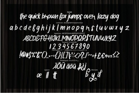 Hokese Brush Font Poster 6