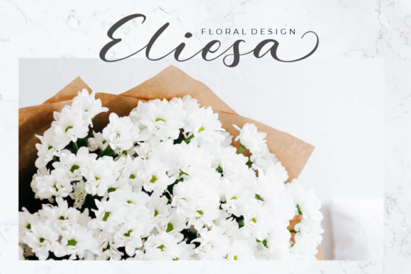 Holista Calligraphy Font Poster 2