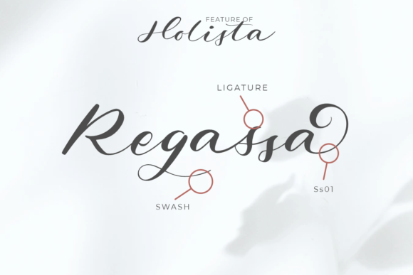 Holista Calligraphy Font Poster 3