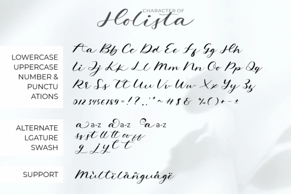 Holista Calligraphy Font Poster 7