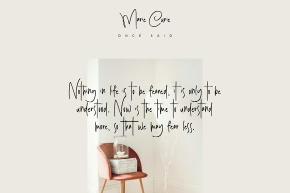 Holly Wonders Font Poster 6