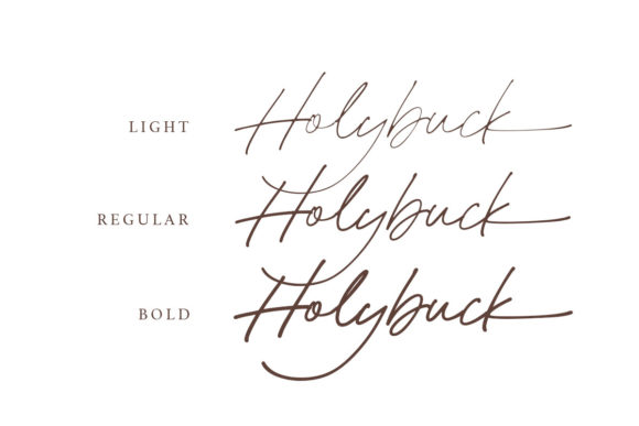 Holybuck Font Poster 4