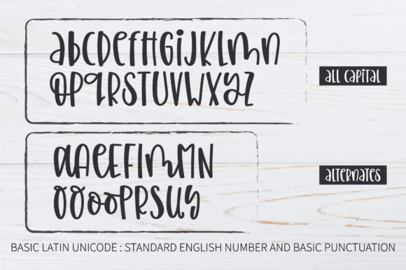 Homeschool Mom Font Poster 14