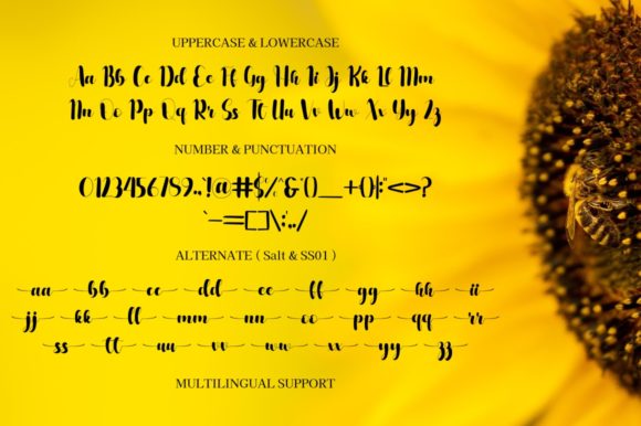 Honey Buddy Font Poster 6