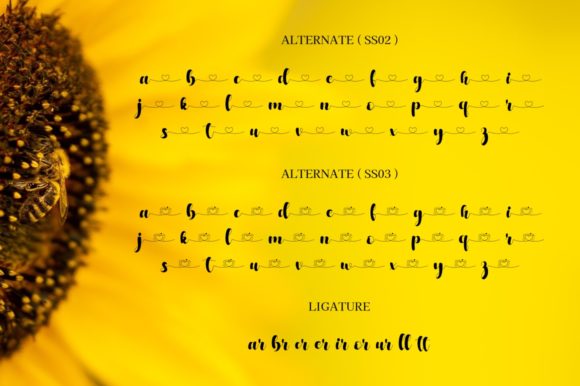 Honey Buddy Font Poster 7