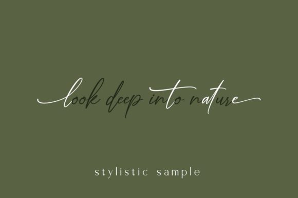 Hoppipola Font Poster 2