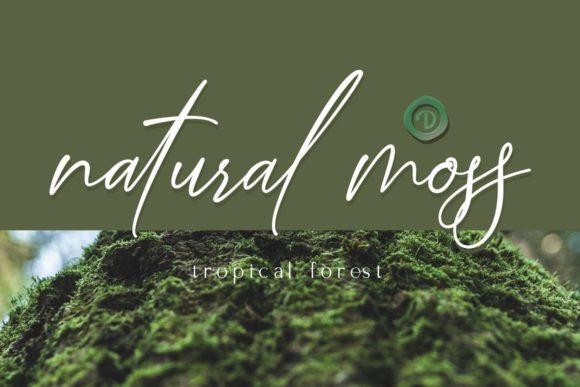 Hoppipola Font Poster 7