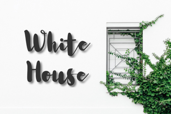 House Wife Font Poster 5