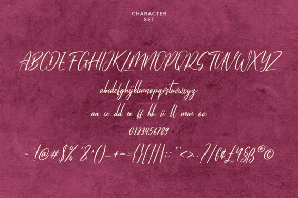 Howelstun Script Font Poster 8