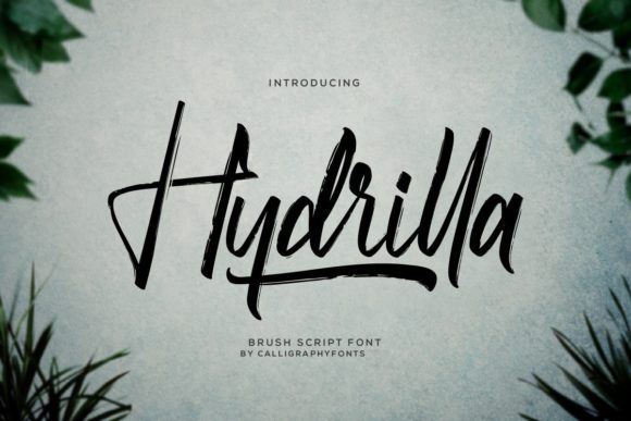 Hydrilla Font Poster 1