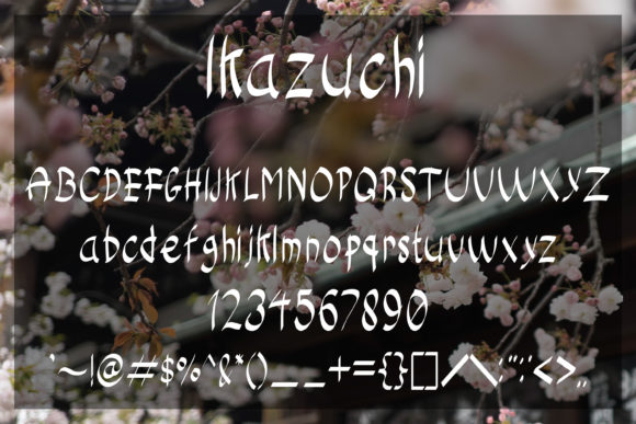Ikazuchi Font Poster 5