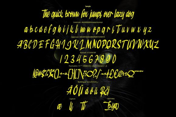 Jackbaya Font Poster 6