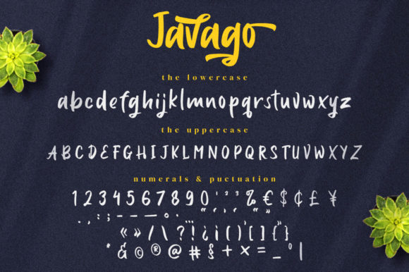 Javago Script Font Poster 8