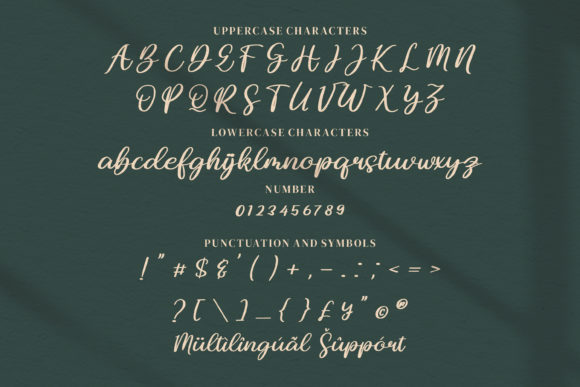 Jenie Chan Font Poster 7