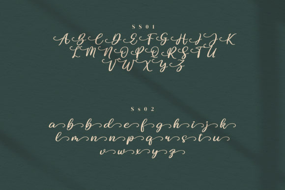 Jenie Chan Font Poster 9