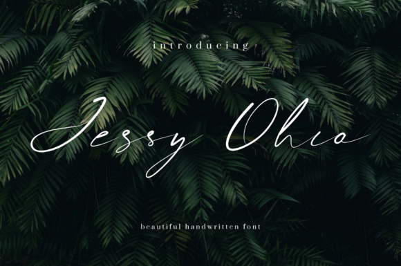 Jessy Ohio Font