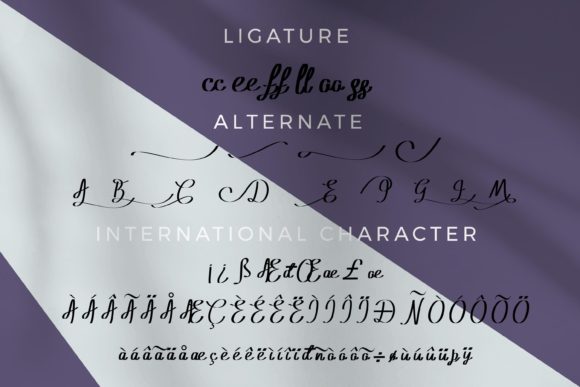 Jihan Meta Font Poster 6