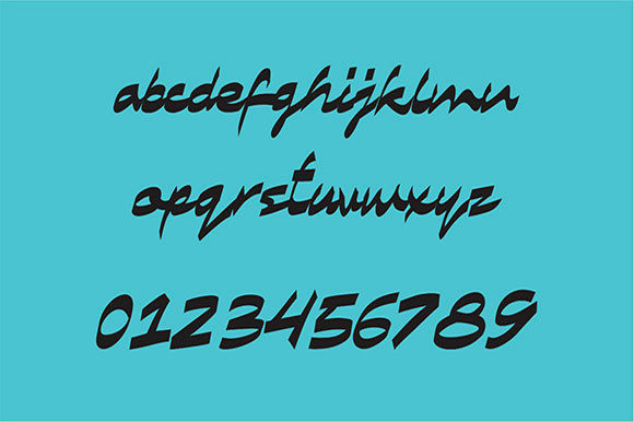 Kameelia Font Poster 6