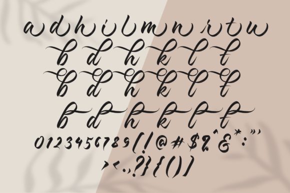 Kashina Script Font Poster 7