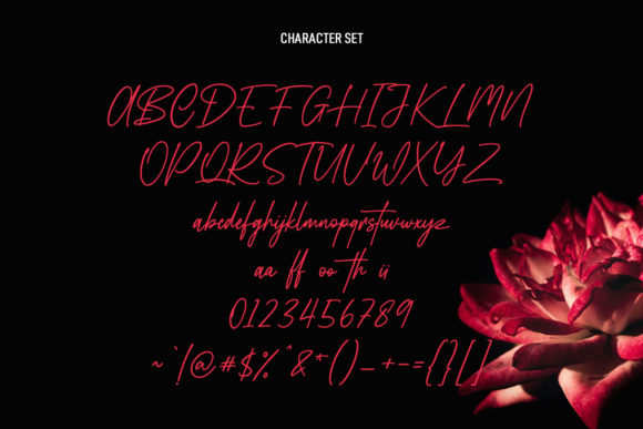 Lafoyettes Script Font Poster 8