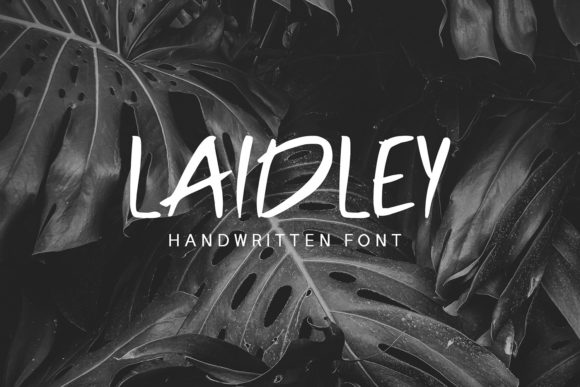 Laidley Font Poster 1
