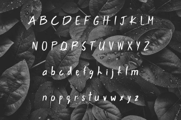 Laidley Font Poster 2