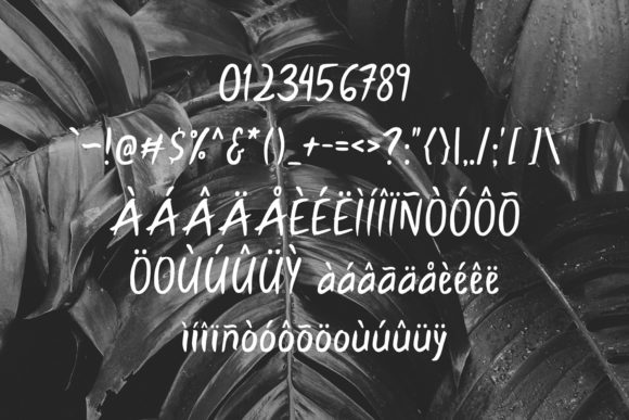 Laidley Font Poster 3