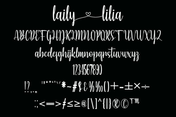 Laily Laila Font Poster 6