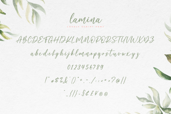 Lamina Font Poster 5