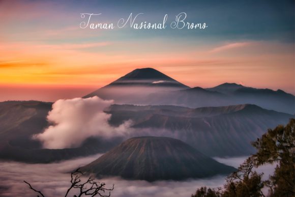 Leuser Font Poster 2