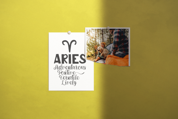 Lively Aries Duo Font Poster 4