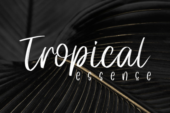 Louis Mate Font Poster 4