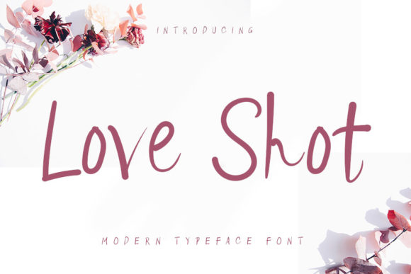 Love Shot Font Poster 1