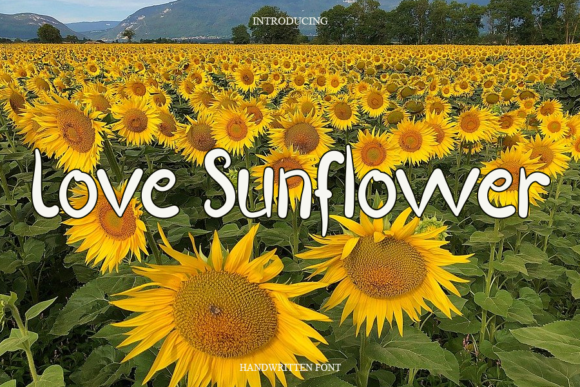 Love Sunflower Font Poster 1