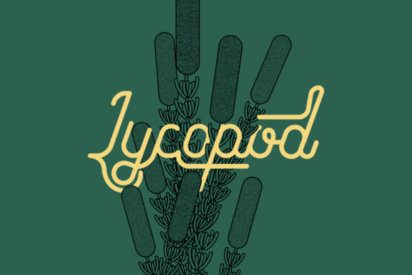 Lycopod Font Poster 1