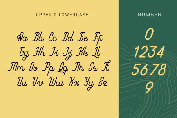 Lycopod Font Poster 6