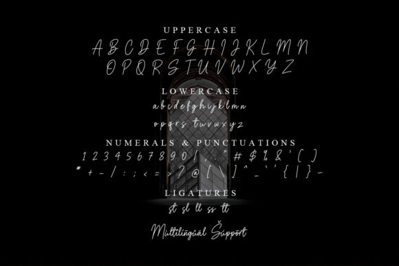 Mahgony Font Poster 6