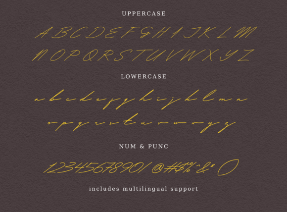 Malternal Signature Font Poster 5