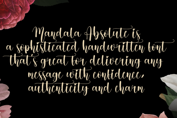 Mandala Absolute Font Poster 2