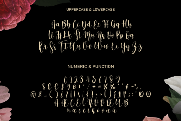 Mandala Absolute Font Poster 6