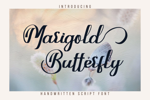 Marigold Butterfly Font Poster 1