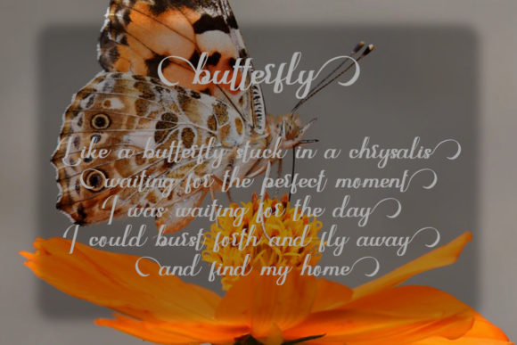 Marigold Butterfly Font Poster 9