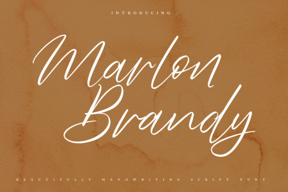 Marlon Brendy Font