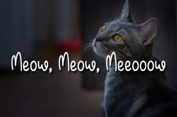 Mellow Meow Font Poster 3
