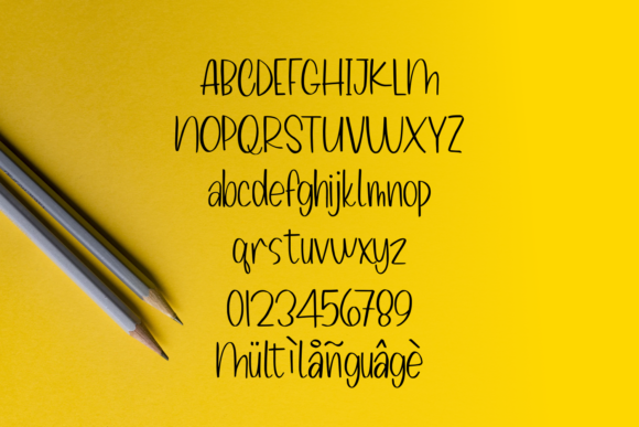 Melon Kundang Font Poster 8