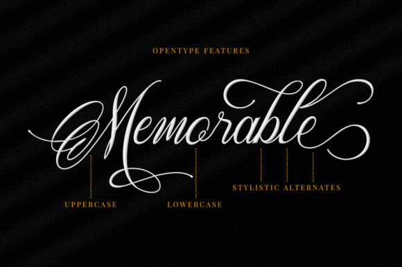 Memorable Font Poster 8