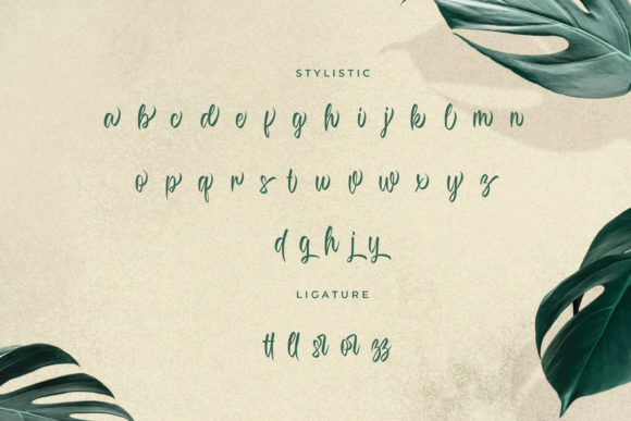 Menoelliez Font Poster 7