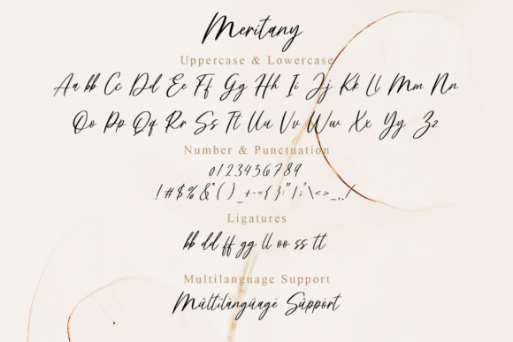 Meritany Font Poster 8