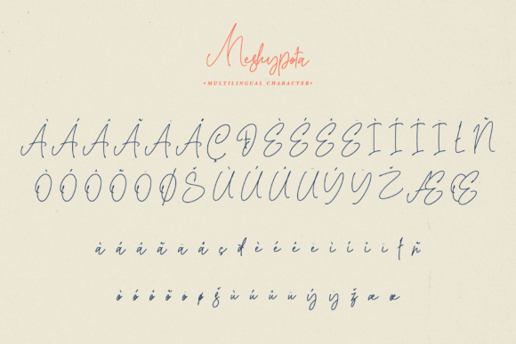 Meshypota Font Poster 11