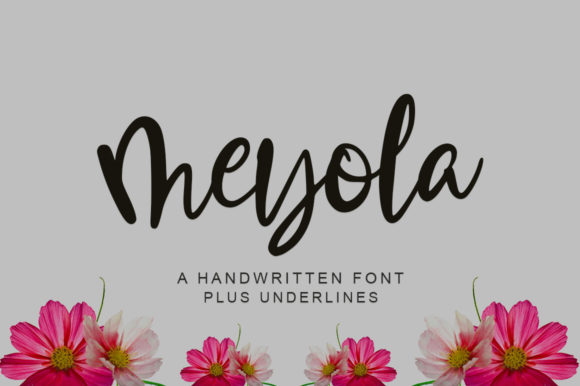 Meyola Font Poster 1